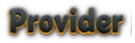 provider